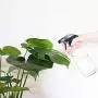 Glass Spray Bottle, Niuta 16 OZ Clearr Glass Empty Spray Bottles with Labels for Plants, Pets, Essential Oils, Cleaning Products - Black Trigger Sprayer w/Mist and Stream Settings