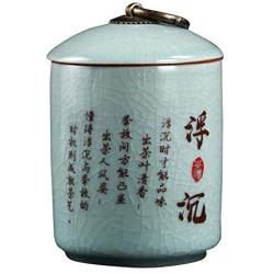 DRAGON SONIC Mini Portable Travel Tea Jars Storage Tank Sealed Tea Can, D08