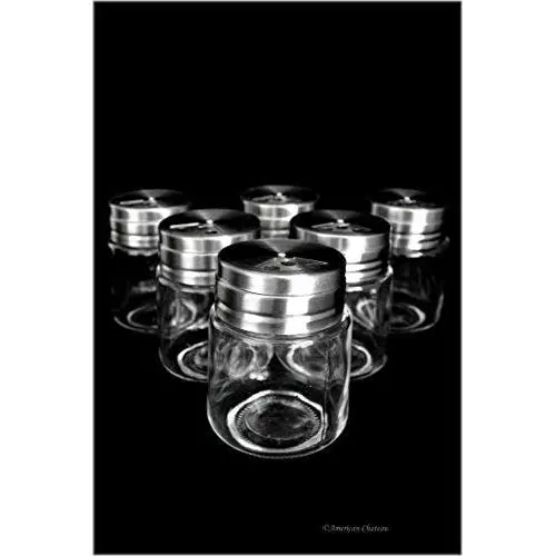 Bocal de Rangement en Verre pour 6 Épices avec Bouchons en Inox
