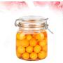 TOPBATHY 1 Pc Clear Square Glass Seal Pot Storage Container with Stainless Steel Buckle for Sealing Storaging