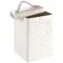 Premier Housewares Storage Canister, Galvanised Metal with Powder Coating, Split Leather Silver