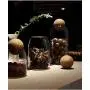 Bocal de Rangement en Verre Borosilicate Haute Qualité, Avec Bouchon Hermétique pour Thé, Café, Herbes, Épices, Sucre et Plus Encore (C/800ml) Bocal de Rangement en Verre Borosilicate Haute Qualité, Avec Bouchon Hermétique pour Thé, Café, Herbes, Épices, Sucre et Plus Encore (C/800ml)