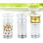 Bouteilles d'assaisonnement en acrylique BESTONZON, 6 pièces, adaptées au stockage du poivre/du sel, faveur pour barbecue/cuisine