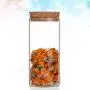 UPKOCH 6PCS 300ML Transparent Glass Storage Jar Tank Sealed Can Food Flower Tea Dried Fruit Grains Storage Container with Cork