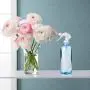 Plastic Spray Bottle, 2Pack 16oz Mister Spray Bottles, Refillable Trigger Sprayer for Cleaning Solution,Hair Care,Gardening,Alcohol (2Pack,16 oz) Plastic Spray Bottle, 2Pack 16oz Mister Spray Bottles, Refillable Trigger Sprayer for Cleaning Solution,Hair Care,Gardening,Alcohol (2Pack,16 oz)