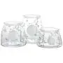Versiegelte Glas-Lebensmittelbehälter Deckel Lagerbehälter Dose Flasche Gewürz-Lagerbox Tee Kaffee Zucker Lagerbehälter für Küchenorganizer, Frühlingswald-Typ