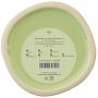 Premier Housewares Fletcher Tea Canister-Green, H14 x W12 x D12cm