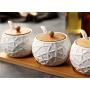 Mini Spice Jars Ceramic storage tank wood cover seasoning tank set combination household
