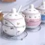 Mini Spice Jars Ceramic seasoning jar three-piece wrought iron bracket household ceramic spice bottle