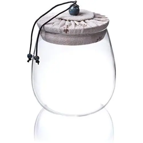 Bouteilles en verre résistantes à la chaleur, grandes capacités, transparentes, pour fleurs, thé, contenants alimentaires avec couvercle (couvercle beige) Bouteilles en verre résistantes à la chaleur, grandes capacités, transparentes, pour fleurs, thé, contenants alimentaires avec couvercle (couvercle beige)
