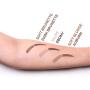 Aesthetica Brow Contour Kit - 16-Piece Eyebrow Makeup Palette - 6 Eyebrow Powders, 5 Eyebrow Stencils, Spoolie/Brush Duo, Tweezers, Brow Wax, Highlighter, Concealer & Instructions