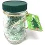 Jarming Collections Mason Jar Deckel-Kunststoff (BPA-frei) Set von 12 für Standard Öffnung Mason Jar, wiederverwendbar, dicht, hergestellt in den USA (grün)