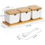 DELIGHTSHOP19 Porcelain Spice Sugar Jar Pepper Salt 3 PACK with Spoon and Lids Ceramic Bowl Spice Storage Kitchen