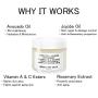 Model off Duty Beauty Dream Glow Moisture Cream | Anti Aging Face Cream, Neck Cream, Vitamin C Cream, Vitamin E Cream | Natural Face Moisturizer For Acne Scar Removal, Dark Circles & Wrinkle | 2.0 oz