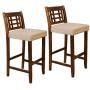 Christopher Knight Home Mackinsey Brown Mahogany Acacia Barstool with Gray Cushion,