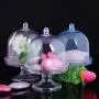 Ochine 12PCS Tray Shape Candy Storage Box Plastic Transparent Living Room Desktop Simple Party Decoration Home Candy Box Ochine 12PCS Tray Shape Candy Storage Box Plastic Transparent Living Room Desktop Simple Party Decoration Home Candy Box