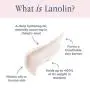 Lanolips Face Base Trio Travel Set - Facial Cleanser, Mask + Day Cream Set - Beauty Skincare Kit with Natural Lanolin - Set of 3 (30ml / 1.0oz each) Lanolips Face Base Trio Travel Set - Facial Cleanser, Mask + Day Cream Set - Beauty Skincare Kit with Natural Lanolin - Set of 3 (30ml / 1.0oz each)
