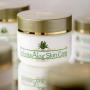 InfiniteAloe Skin Care Cream - Original Scent - (4) 8oz + (4) 0.5oz