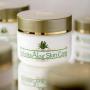 InfiniteAloe Skin Care Cream - Original Scent - (1) 8oz + (2) 0.5oz
