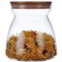 Glass Jars, Food Storage Jar with Sealed Bamboo Lid, Clear Glass Storage Canister for Serving Tea, Chocolate, Coffee Bean, Candy and More, 23.6 FL OZ (700 ML)/ 33.8 FL OZ(1000ML) (100x85x120mm,700ml)