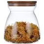 Glass Jars, Food Storage Jar with Sealed Bamboo Lid, Clear Glass Storage Canister for Serving Tea, Chocolate, Coffee Bean, Candy and More, 23.6 FL OZ (700 ML)/ 33.8 FL OZ(1000ML) (100x85x120mm,700ml)