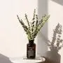 Glas Aufbewahrungsbehälter - Moderner Minimalistischer Chic Glasbehälter Skandinavisch Nordisch Vogue Braune Schreibtischaufbewahrung Flaschenorganizer Blumenbehälter Dekoration