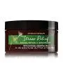 Bath and Body Works Aromatherapy Eucalyptus Spearmint Body Body Butter 6.7 Ounce Stress Relief Bath and Body Works Aromatherapy Eucalyptus Spearmint Body Body Butter 6.7 Ounce Stress Relief