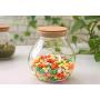 1 PCS 500ML 17OZ Empty Transparent Glass Sealing Container with Cork Multipurpose Candy Coffee Beans Tea-leaf Storage Can Jar Heat-Resistant Food Collection Tin Pot for Kitchen Home Use