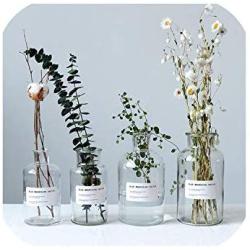 Transparent Glass Storage Jars Chic Dry Flower Vase Scandinavian Fresh Floral Container Desktop Decor Organizer Jar,250Ml Big Bouth