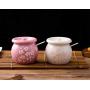 123Arts Ceramics Sakura Salt Sugar Storage Jar Seasoning Pot with Lid Spoon