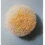 Fermenteur Kefir : Conteneur avec Grains de Kefir Frais, Grand Format - 120 cc Fermenteur Kefir : Conteneur avec Grains de Kefir Frais, Grand Format - 120 cc
