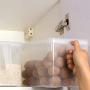WskLinft Storage Box, Transparent Fridge Fresh Storage Box Crisper Refrigerator Sealed Food Container Transparent