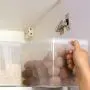 Transparente Kühlschrank Frischhaltedose, Lebensmittelbehälter, durchsichtige Aufbewahrungsbox für den Kühlschrank