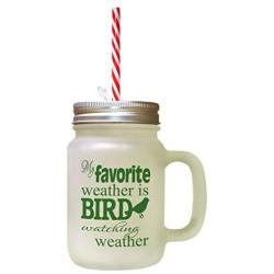 Forest GreenMy Favorite Weather Bird Watching Weather Frosted Glass Mason Jar With Straw