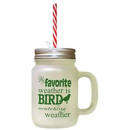 Forest GreenMy Favorite Weather Bird Watching Weather Frosted Glass Mason Jar With Straw