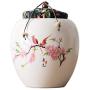 Cereal Containers Sealed Ceramic Tea Cans, Kitchen Moisture Storage Tank Containers (color : C)