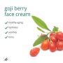 Home Health Goji Berry Facial Cream - Moisturizing And Anti-Aging Formula, Reduces Appearance Of Wrinkles, Protects, Hydrates And Revitalizes Skin - Paraben-Free, Fragrance-Free, Vegan - 4 oz