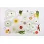 Lasting Freshness Vacuum Seal Food Storage Containers - Deep Freezer Food Sealer - Hand Held Vacuum Food System - Quick Seal Marinator - Rectangle - 19Pc - Green Color Lasting Freshness Vacuum Seal Food Storage Containers - Deep Freezer Food Sealer - Hand Held Vacuum Food System - Quick Seal Marinator - Rectangle - 19Pc - Green Color