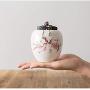 Cereal Containers Sealed Ceramic Tea Cans, Kitchen Moisture Storage Tank Containers (color : C)