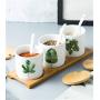 Mini Spice Jars Household ceramic condiment jar set kitchen supplies ideas