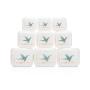 Corium 21 Aloe Vera Gesichtscreme – 4 oz Glasbehälter