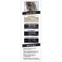 LOreal Paris Hair Makeup Temporary 1-Day Hair Color for Blondes & Brunettes, Moonstone, 1 Fl Oz