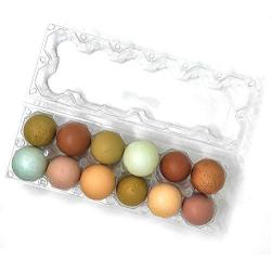 12 Pack Premium Clear Plastic Reusable Dozen Egg Container Carton with Labels holds 12 Large Eggs