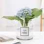 Scandinavian Minimalist Chic Glass Storage Jars Modern Elegance Desk Storage Bottle Organizer Superior Gray Flower Container,2 Scandinavian Minimalist Chic Glass Storage Jars Modern Elegance Desk Storage Bottle Organizer Superior Gray Flower Container,2