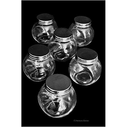 Set 6 Glass 6 oz Apothecary Spice Storage Jars with Silver Screw-on Lids