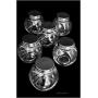 Set 6 Glass 6 oz Apothecary Spice Storage Jars with Silver Screw-on Lids