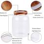 Glass Storage Jar, Food Storage Container/Canisters with Airtight Lid for Serving Tea, Coffee, Honey.Spice, BPA Free Perfect as a Cereal Dispenser by Leaves and Trees (6.3 inch high)