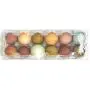 Carton en plastique transparent réutilisable pour 12 œufs Premium, avec étiquettes, pour œufs de grande taille.