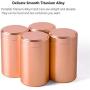 Tea Tins Canister set with Airtight Lids Home Kitchen Canisters for Tea Sugar Coffee Storage Loose Leaf Tea Tin Containers storage nut jar(Rose Gold1, 4PC/4.7OZ)
