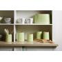 Premier Housewares Fletcher Tea Canister-Green, H14 x W12 x D12cm